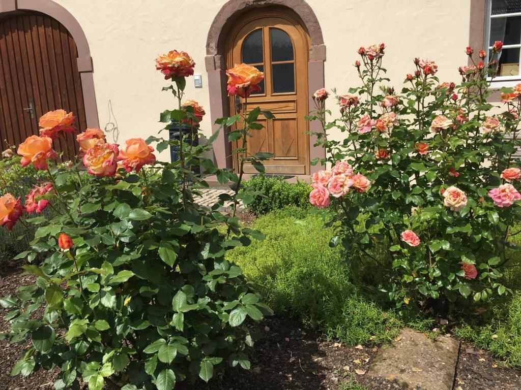 Ferienwohnung In Historischem Bauernhaus In Der Eifel Mettendorf Exteriér fotografie